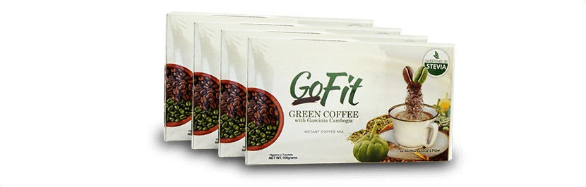 4 Gofit